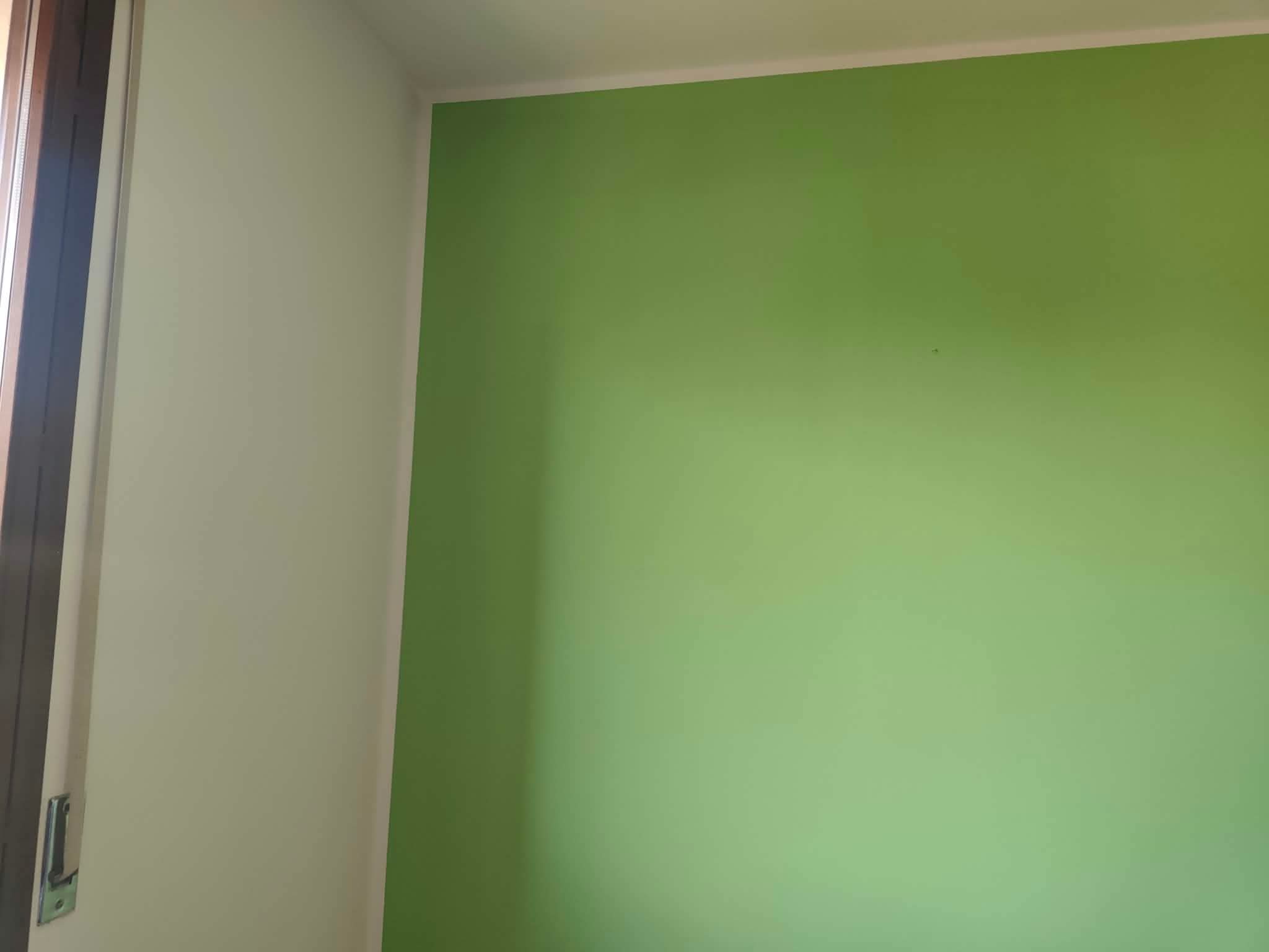 Tinteggiatura · Parete verde